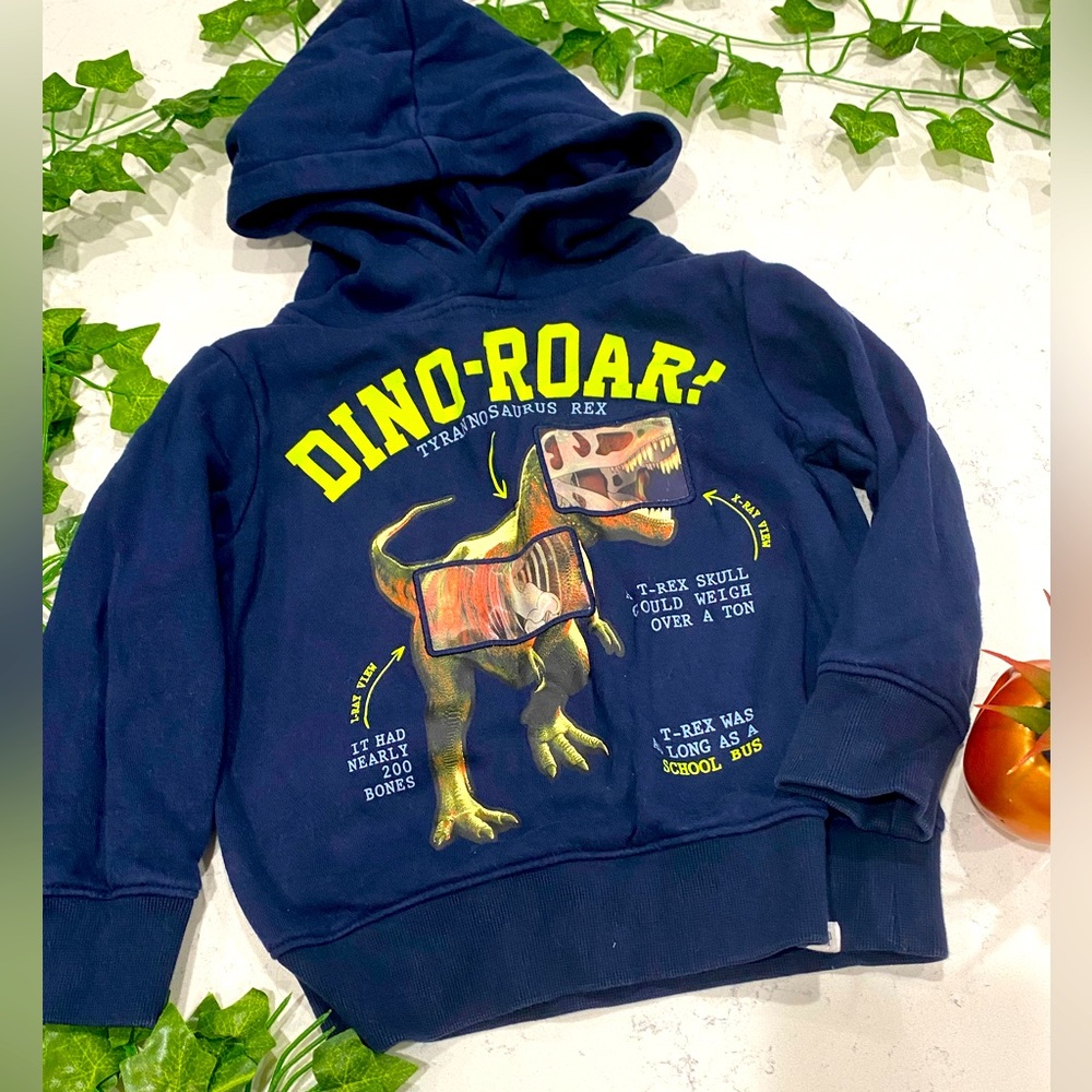 Gap kids Graphic Dinosaur Hoodie